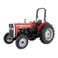 Massey Ferguson Bayii - Halis Demir